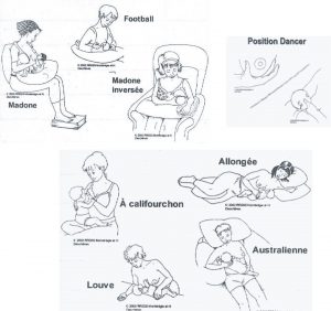 allaitement positions